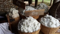 棉花合同取消席卷东南亚